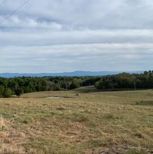 Meet your Posher, Bobby